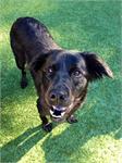 daycare pic 21 - Stella